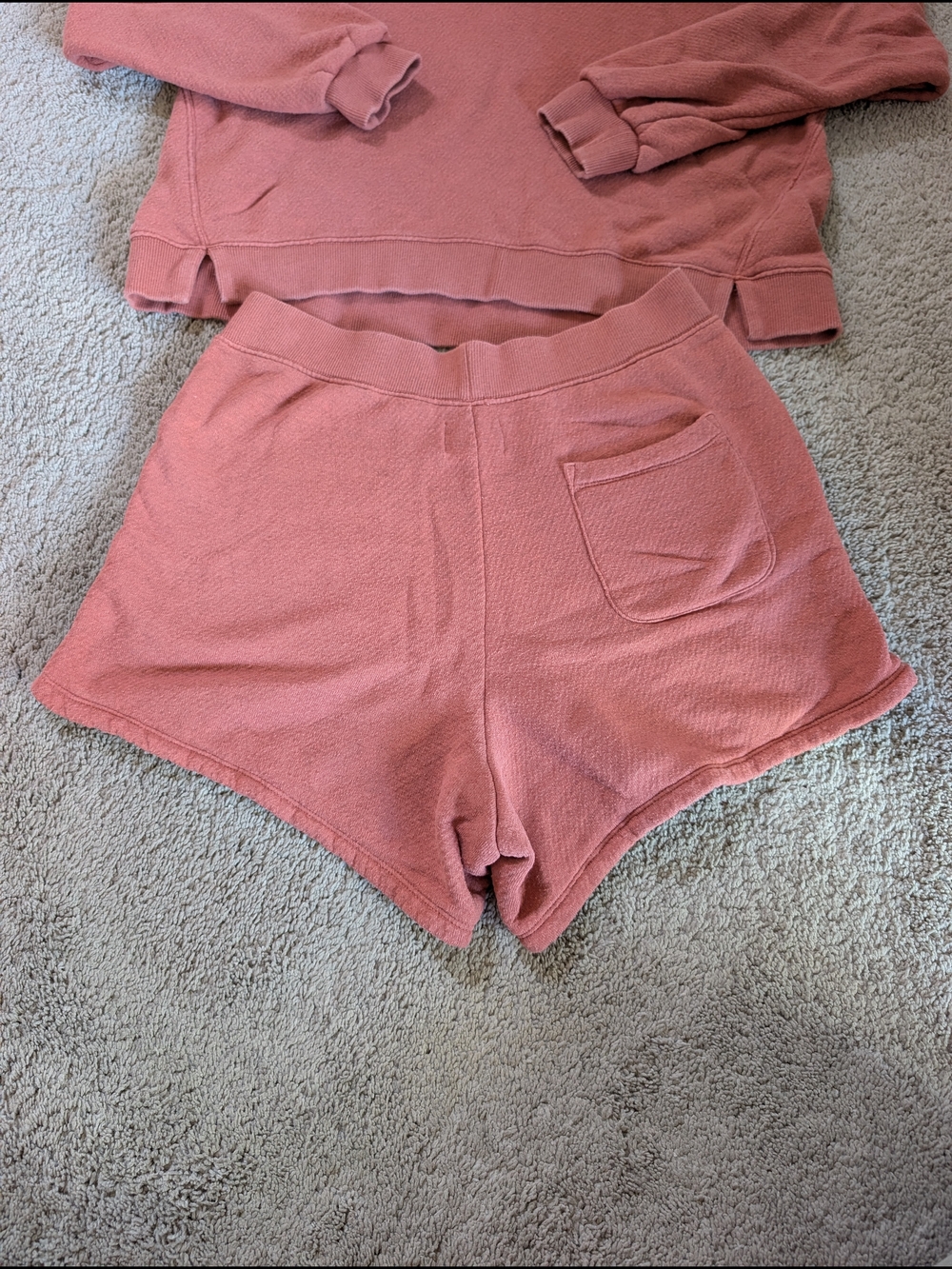 MWL Madewell Cozy Dusty Rose Hoodie & Shorts Set - Picture 5 of 6